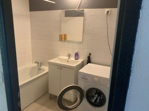 une salle de bain avec une machine à laver et un lavabo dans l'établissement Entire F2 apartment feveretere, à Chalon-sur-Saône
