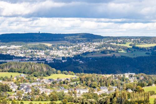 an aerial view of a small town in the hills at Apartment Bergliebe I Balkon I Aufzug I Stellplatz in Schwarzenberg