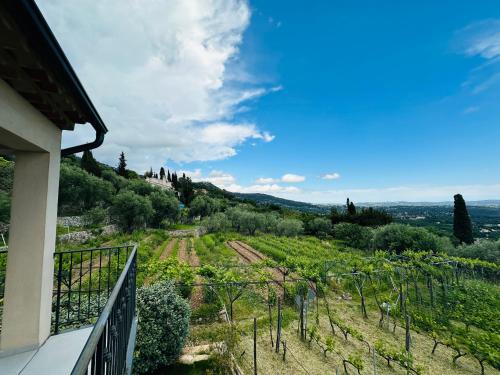 a view of a vineyard from the balcony of a house at Bellevue Spéra in Spéracèdes