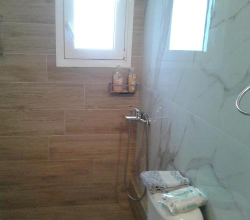 a bathroom with a shower with a toilet and a window at Καινούριο σπίτι σε ήσυχη τοποθεσία in Nafplio