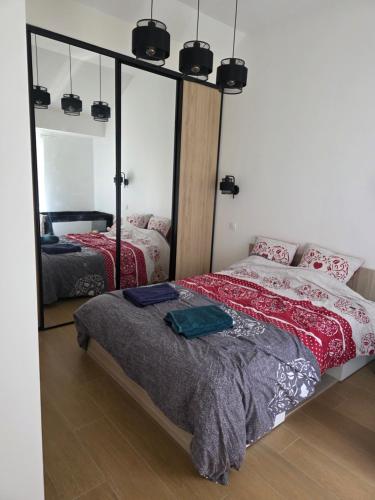 une chambre avec deux lits et un miroir dans l'établissement Appartement entier de 67 mettres carrés, à Aix-en-Othe