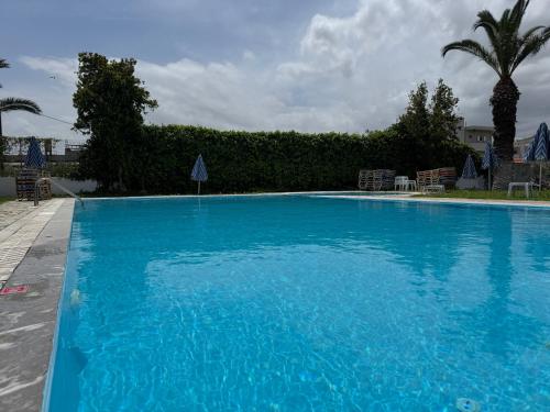 a large blue swimming pool with a palm tree at Zac & Georgio Studios in Amoudara Herakliou