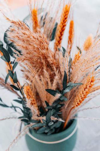 a pot of wheat plants on a table at Branco Sea Holiday Apartments in Santa Maria