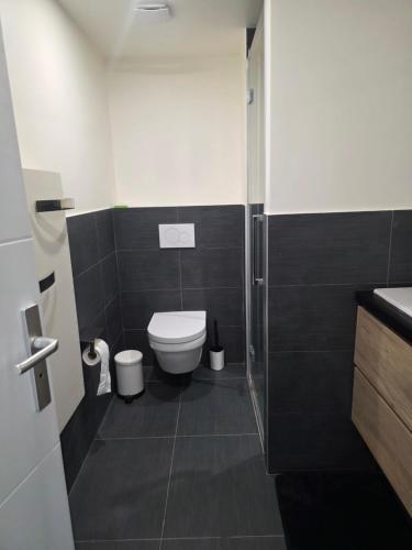 une petite salle de bain avec toilettes et douche dans l'établissement Appartement entier de 67 mettres carrés, à Aix-en-Othe