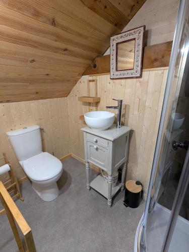une salle de bain avec toilettes et lavabo dans une chambre dans l'établissement La Grange, à Le Noyer