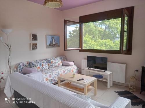 ein Wohnzimmer mit Sofa und Fernseher in der Unterkunft Κατοικία στην Κουτσουπιά in Kókkinon Nerón