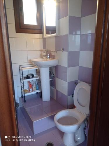 a bathroom with a sink and a toilet at Κατοικία στην Κουτσουπιά in Kokkino Nero