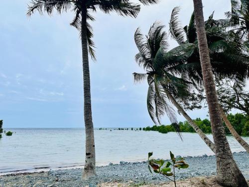 two palm trees on a beach with the ocean at La Casita Feliz in Puerto Princesa City