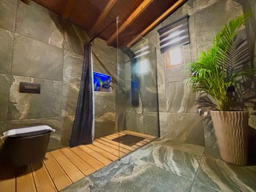 a bathroom with a shower with a toilet and a plant at MK Rustic Stays in Neos Marmaras