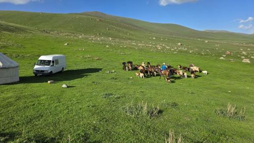 a group of people riding horses in a field with a van at "Doskulu travel" hostel in Kyzart