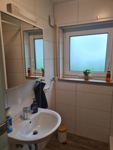 a bathroom with a sink and a window at WellandHome Aalen - Business Apartment - 4 single beds in Aalen
