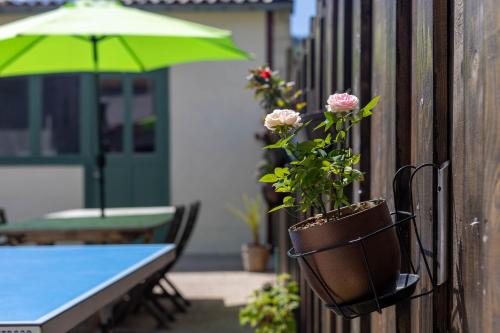 Patio nebo venkovní prostory v ubytování Gîte de la Grange 12km de Gérardmer