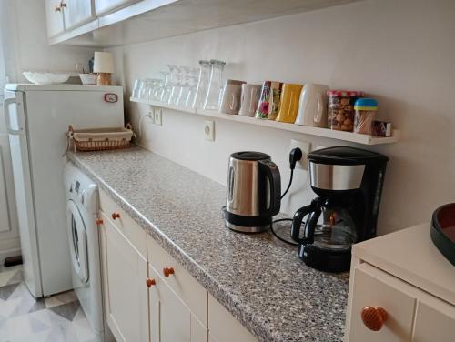 Il comprend une cuisine équipée d'une cafetière et d'un réfrigérateur. dans l'établissement La maison rouge, à Paris