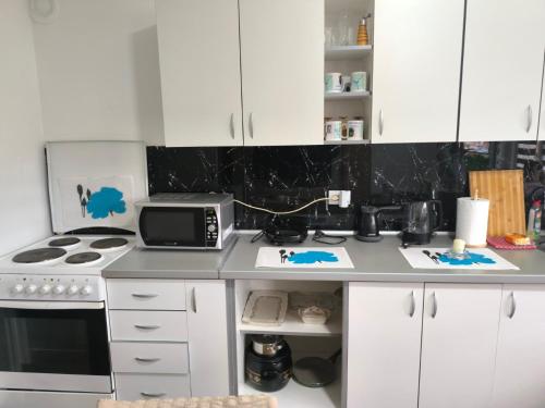 Kuchyň nebo kuchyňský kout v ubytování Apartman Vuković, Majdanpek