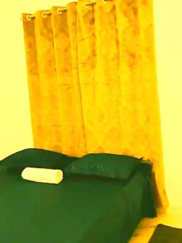 a bed with a green pillow and a curtain at Tourist Heaven Homestay in Guwahati