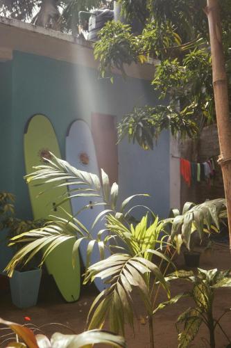 a wall with surfboards painted on it next to plants at Moonlight surf hostel in Arugam Bay