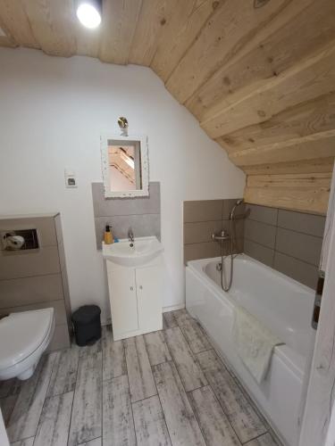 a bathroom with a sink and a tub and a toilet at Krutyńska Sielanka in Piecki