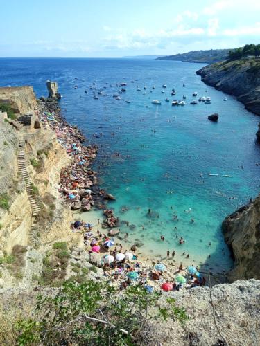 Φυσικό τοπίο κοντά σε αυτό το κατάλυμα σε φάρμα