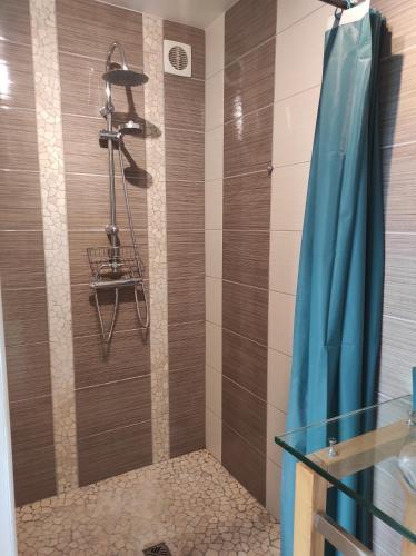 une douche avec un rideau de douche bleu dans une salle de bain dans l'établissement La mini ferme avec piscine, à Mailhoc