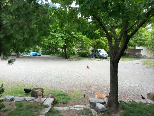 Gallery image of Guest House Natura Komani Lake in Koman