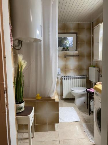 Koupelna v ubytování Apartment Hiža 38