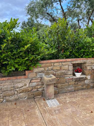 a stone retaining wall with two plants and a birdbath at Agri Resort Masusa in Aquara