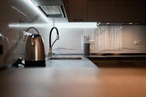 a kitchen counter with a sink and a tea kettle at Luxury Apartments Babyak in Uzhhorod