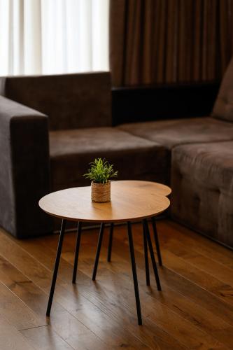 a coffee table in a living room with a plant on it at Luxury Apartments Babyak in Uzhhorod