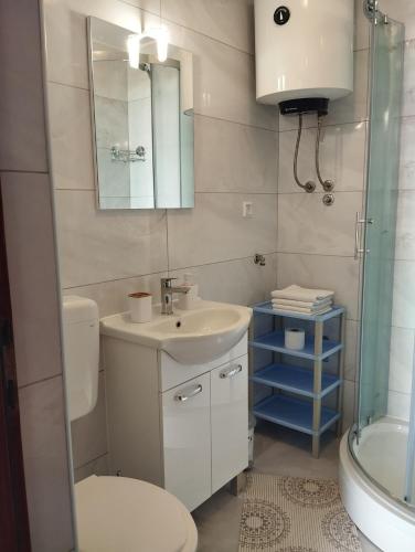 セニにあるApartment and Rooms Markovicの洗面台、トイレ、鏡のあるバスルーム