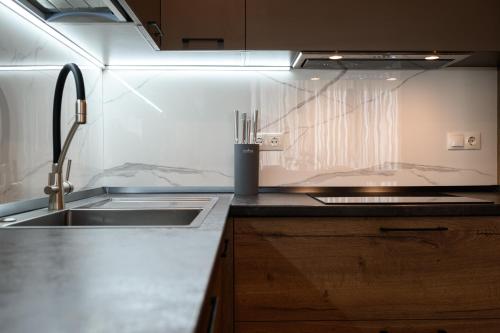 a kitchen with a sink and a counter top at Luxury Apartments Babyak in Uzhhorod