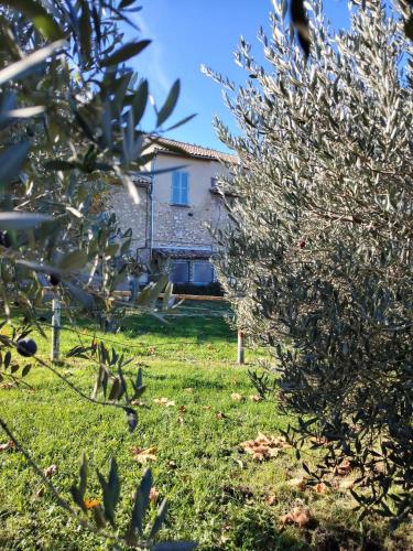Gîte Ballantims Domaine de L'Annonciade