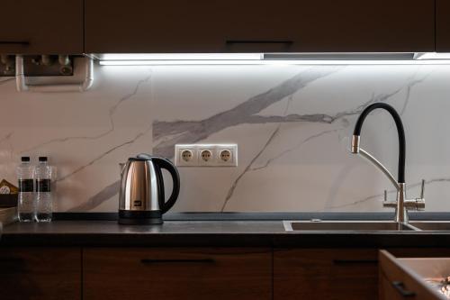 a kitchen with a sink and a kettle on a counter at Luxury Apartments Babyak in Uzhhorod