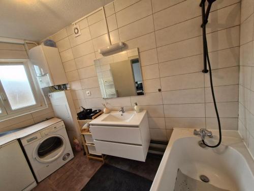 une salle de bain avec un lavabo et une machine à laver dans l'établissement Colmar Nest, à Colmar