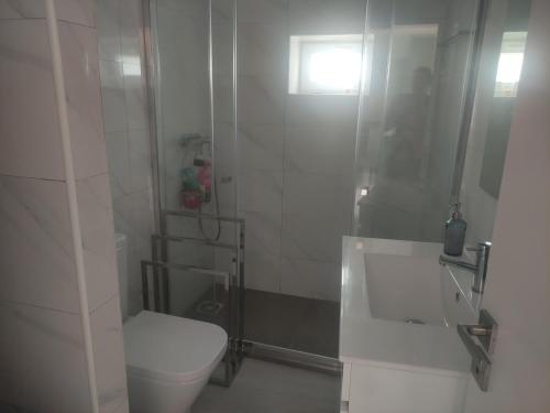 un bagno bianco con wc e doccia di Retiro Maria Idalina ad Amarante