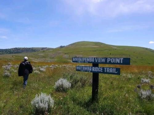 Gallery image of Village homestay&tours in Kiwira