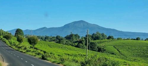 Gallery image of Village homestay&tours in Kiwira