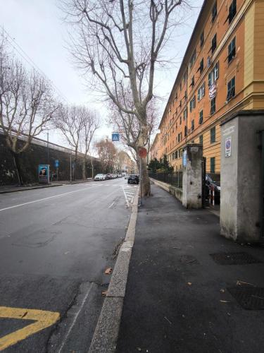a tree on the side of a street next to a building at Casa Giorgia with Parking Space in Genova