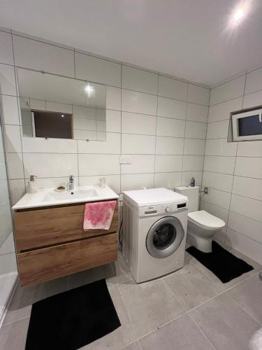 une salle de bain avec machine à laver et toilettes dans l'établissement Petit appartement de 35 m2 au Puig del Mas, à Banyuls-sur-Mer