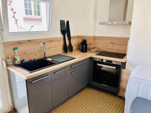 une petite cuisine avec un évier et une cuisinière dans l'établissement appartment avec balcon strasbourg centre, à Strasbourg