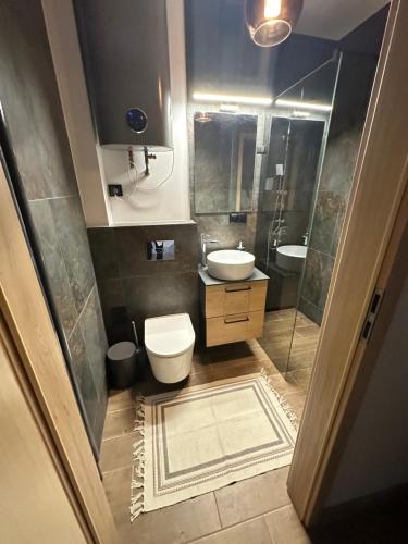 a bathroom with a toilet and a sink and a shower at Apartament MOCHA Szczytno Mazury in Szczytno