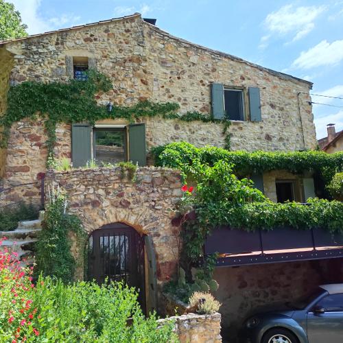 un pied dans la forêt