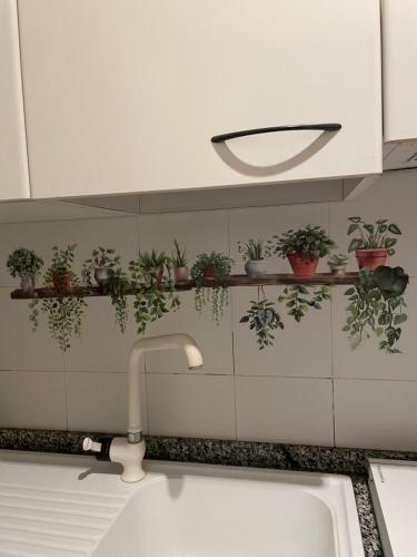 a kitchen sink with potted plants on a wall at Appartamento nel cuore di Todi in Todi