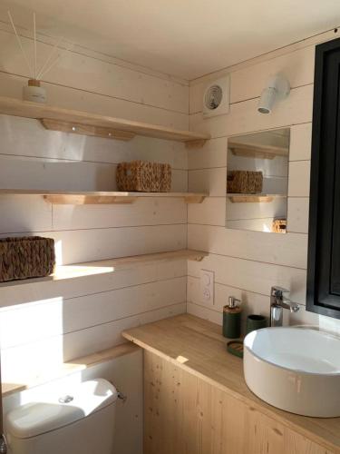 une salle de bain avec un lavabo blanc et des toilettes dans l'établissement Tiny House Lou Cabanot, à Goos