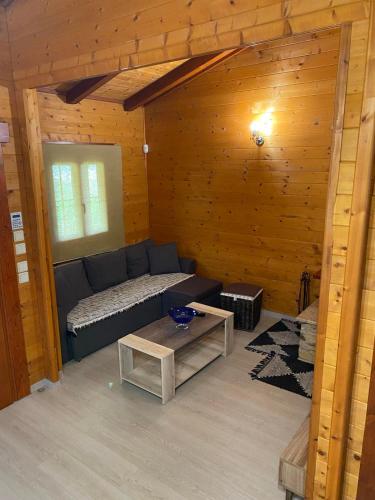 a room with a couch and a table in a cabin at WOODEN HOUSE IN IOANNINA in Ioannina