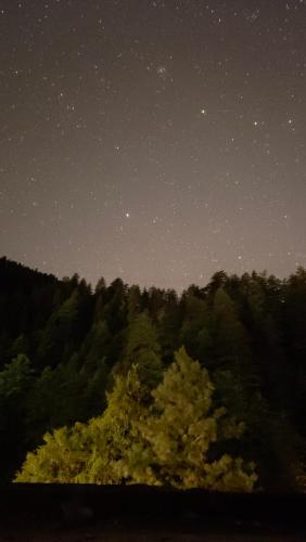 Gallery image of Sharaji in Banjār