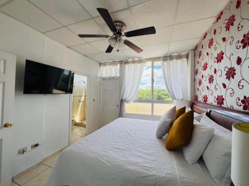 Un dormitorio con una cama con ventilador de techo y una ventana. en Aparthotel ROS, en Tegucigalpa