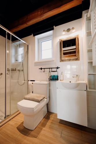 a bathroom with a toilet and a sink and a shower at Bukolik in Bukowiec