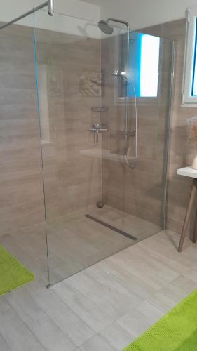 une douche avec une porte vitrée dans une salle de bain dans l'établissement Océane, à Saint-Augustin