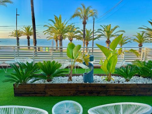 a garden with chairs and palm trees and the ocean at Hotel Neptuno in San Pedro del Pinatar