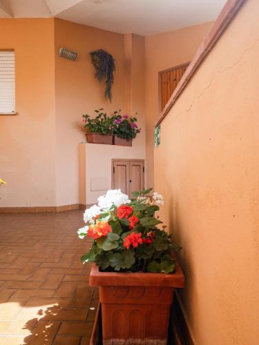 a pot of flowers sitting next to a wall at Hotel Donatella in Posada